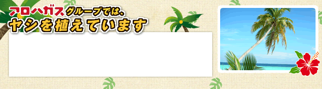 アロハガスグループでは、ヤシを植えています